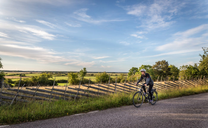 Cykla på södra Gotland