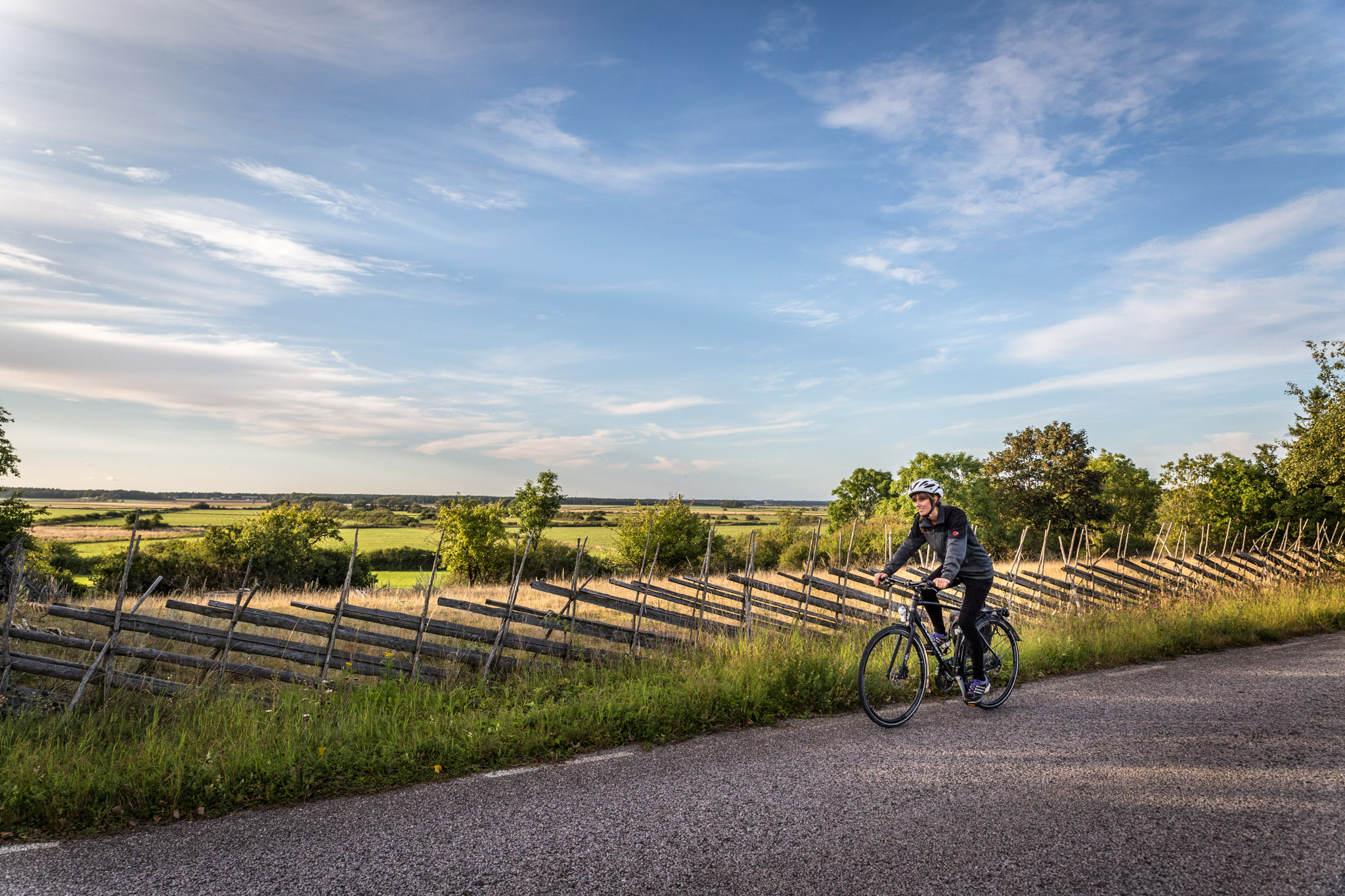 Cykla på södra Gotland