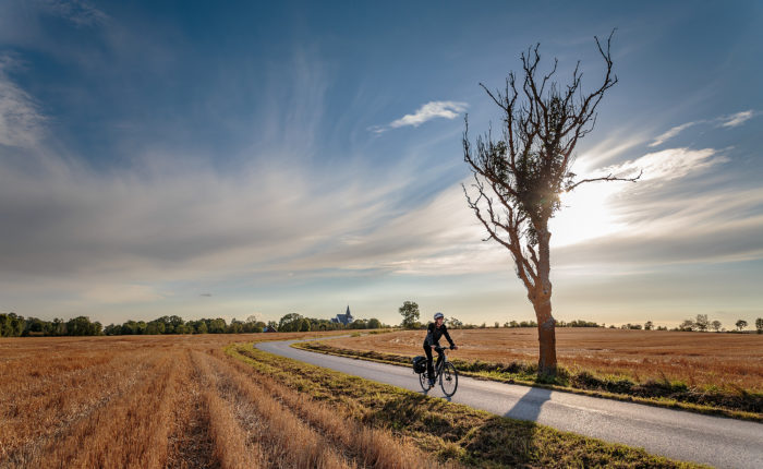 Cykla på norra Gotland