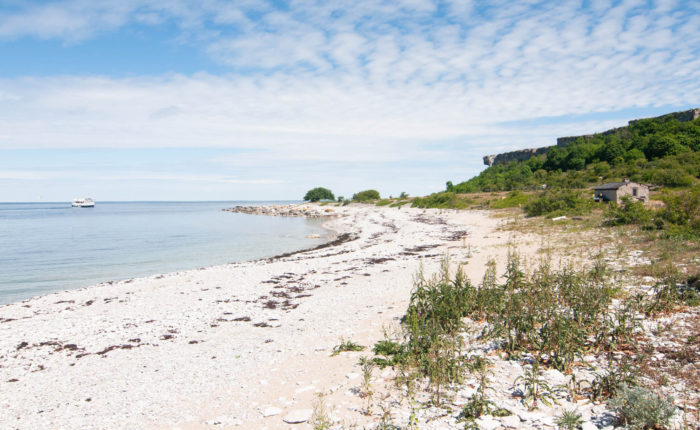 Strandvandring på Gotland