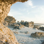 Guidad busstur till Fårö