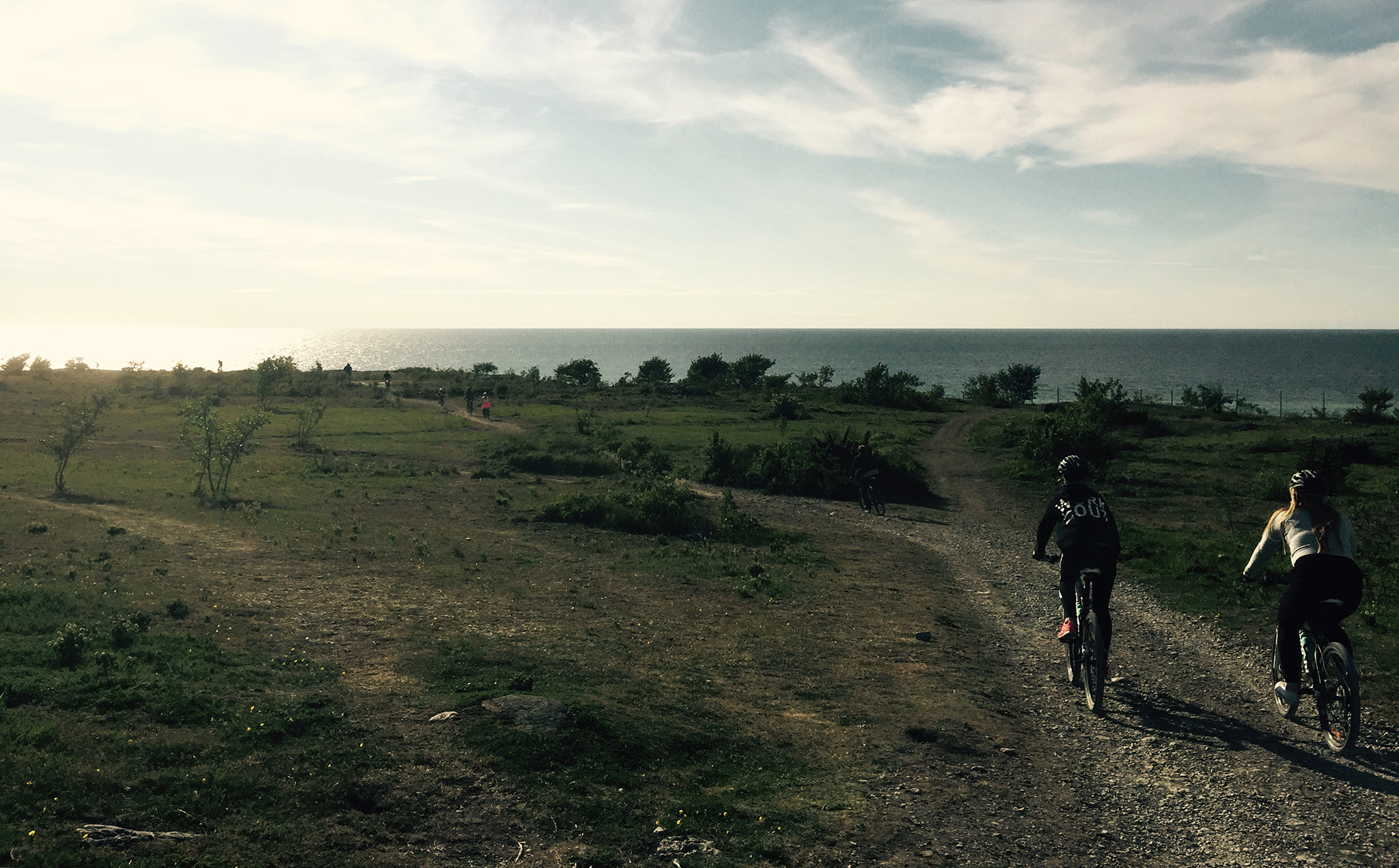 Guidad cykeltur - Kulinariska Gotland